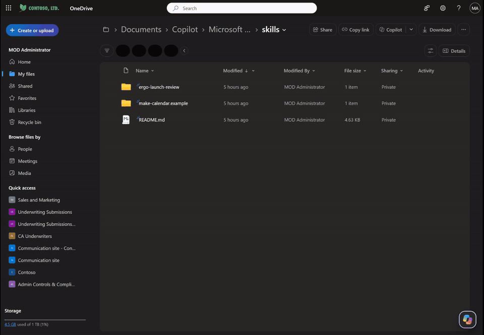 The ergo-launch-review folder in the OneDrive skills folder